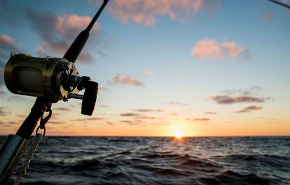 Fishing