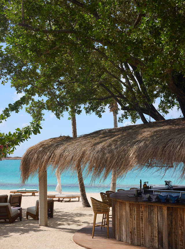 Tree Bar